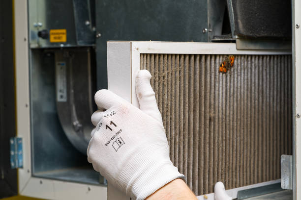 Best Professional Duct Cleaning Services  in White Marsh, MD